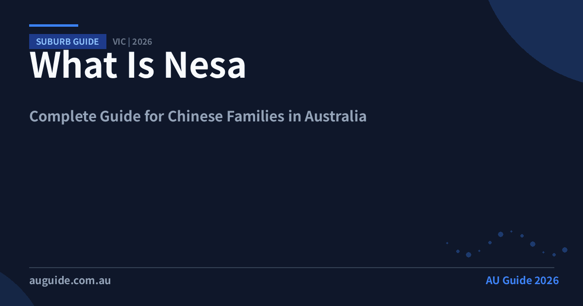 What Is Nesa